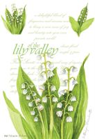 FRESH SCENTS Ароматизиращо пликче LILY OF THE VALLEY