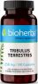 BIOHERBA TRIBULUS TERESTRIS Бабини зъби 250 мг/100 капс.